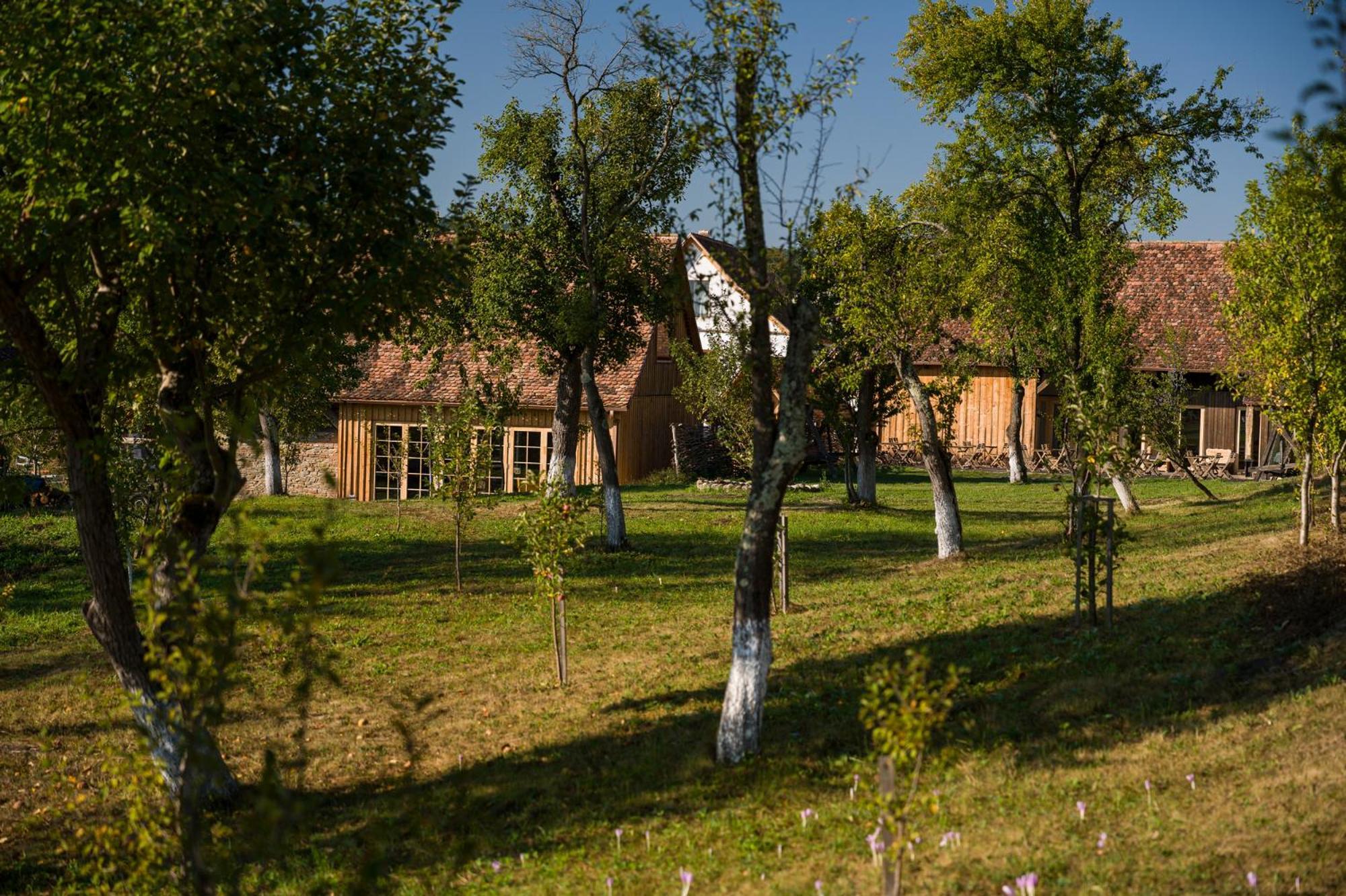 Mesendorf Gasthaus Luaran gambar